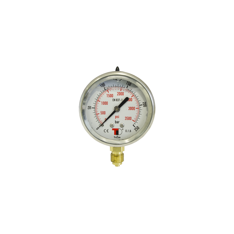 PRESSURE GAUGE DN63 VERTICAL 1/4'' BSP 0-6