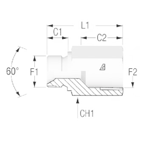 BSP60� Male 2