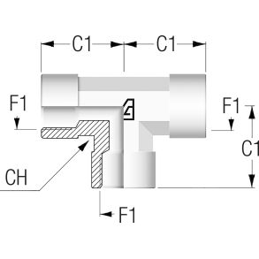 BSPP T Adapter Fixed Female 1 1/4