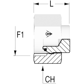 BSP60 Cap Female 3/4