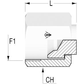 JIC Female CAP 1 1/16