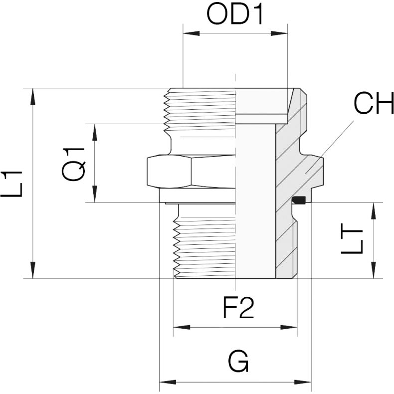 GE28L-R-ED-1 - Straight DIN24� Male GE28L BSPP 1"ED 1218105
