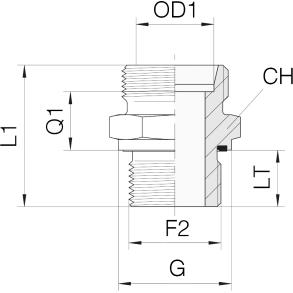 GE16S-R-ED-1/2 - Straight DIN24 Male GE16S BSPP 1/2