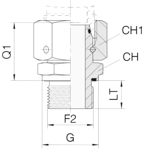 DIN24 Female DKO10L BSPP Male 3/8
