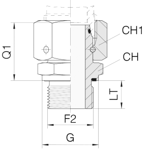 EVGE-18LR-ED-1/2 - DIN24 Female DKO18L BSPP Male 1/2