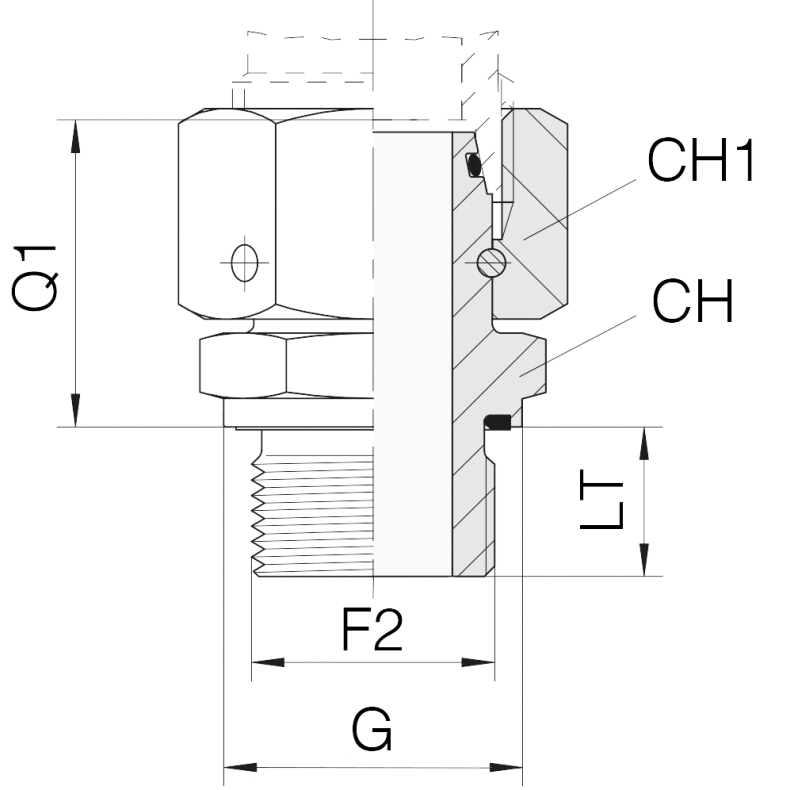 EVGE-12SR-ED-1/4 - DIN24 Female DKO12S BSPP Male 1/4"ED 1246372