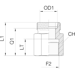GAI25S-R-1 - Straight DIN24 Male 25S BSPP Fem 1