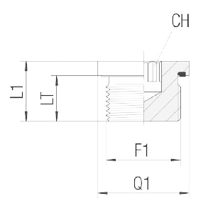 VSTI-M-ED-10 - Socket Head Plug Metric M10X1 ED 1204050