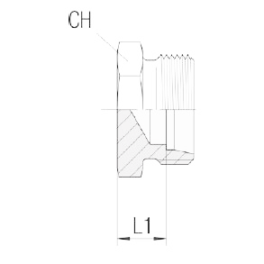 ROV-35L - DIN24 Tube Blanking Screw 35L - M45X2 1204200