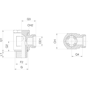 SWVE06L-R-1/8 - Throttle-free Banjo 06L BSPP MALE 1/8