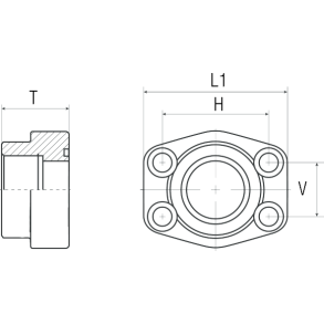 Gevindflange 6000 PSI BSPP Female 1