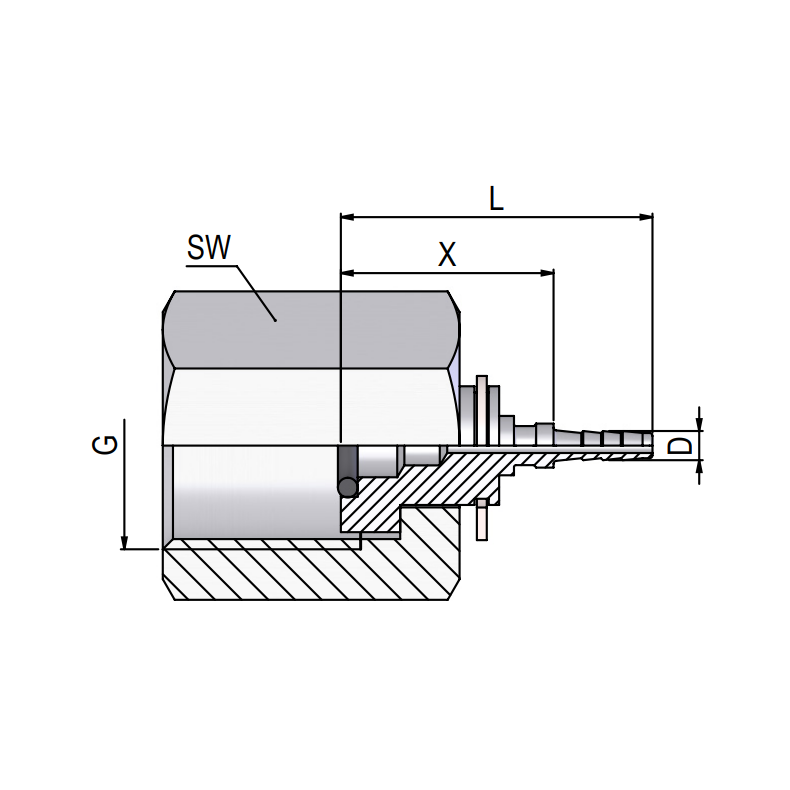 TEST MANOMETEROML. 1/4" > 7558222000  1217217